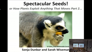 Spectacular Seeds