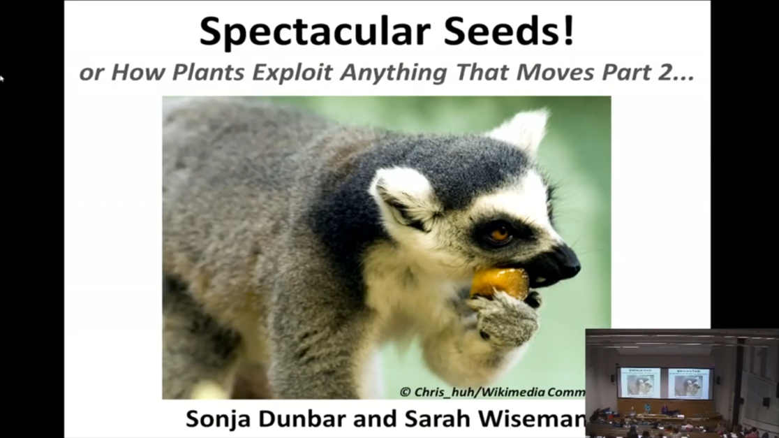 Spectacular Seeds!