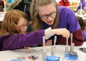Using test tubes and pipettes to test fake blood