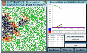 A simulation of a disease spreading between trees