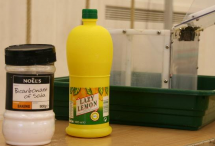 mini_explosions – CHaOS